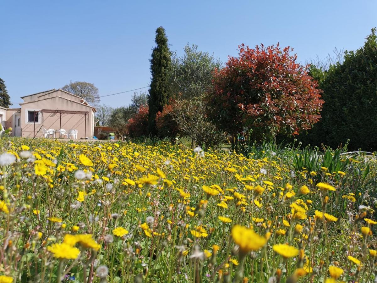 Maison De Vacances L'Hote Champetre Campagne Arlesienne ภายนอก รูปภาพ