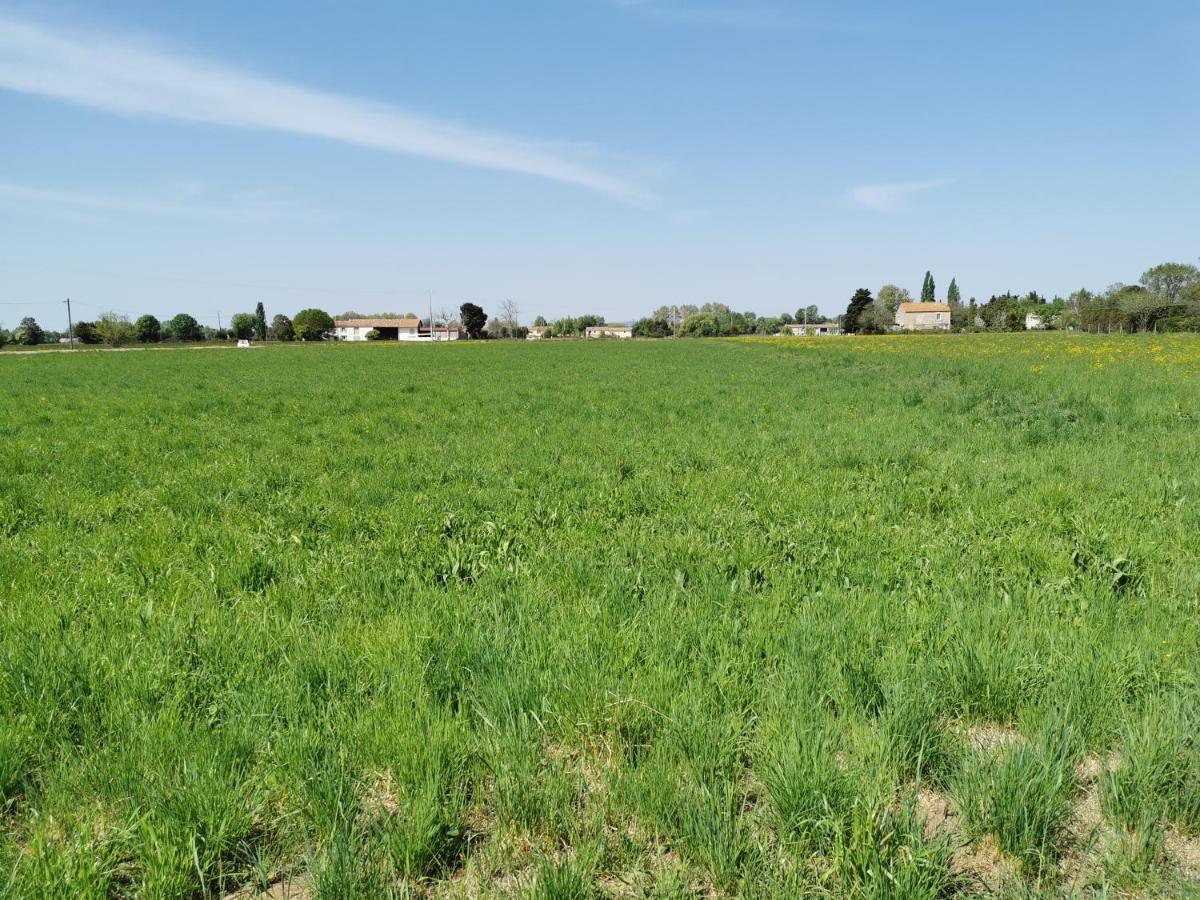 Maison De Vacances L'Hote Champetre Campagne Arlesienne ภายนอก รูปภาพ